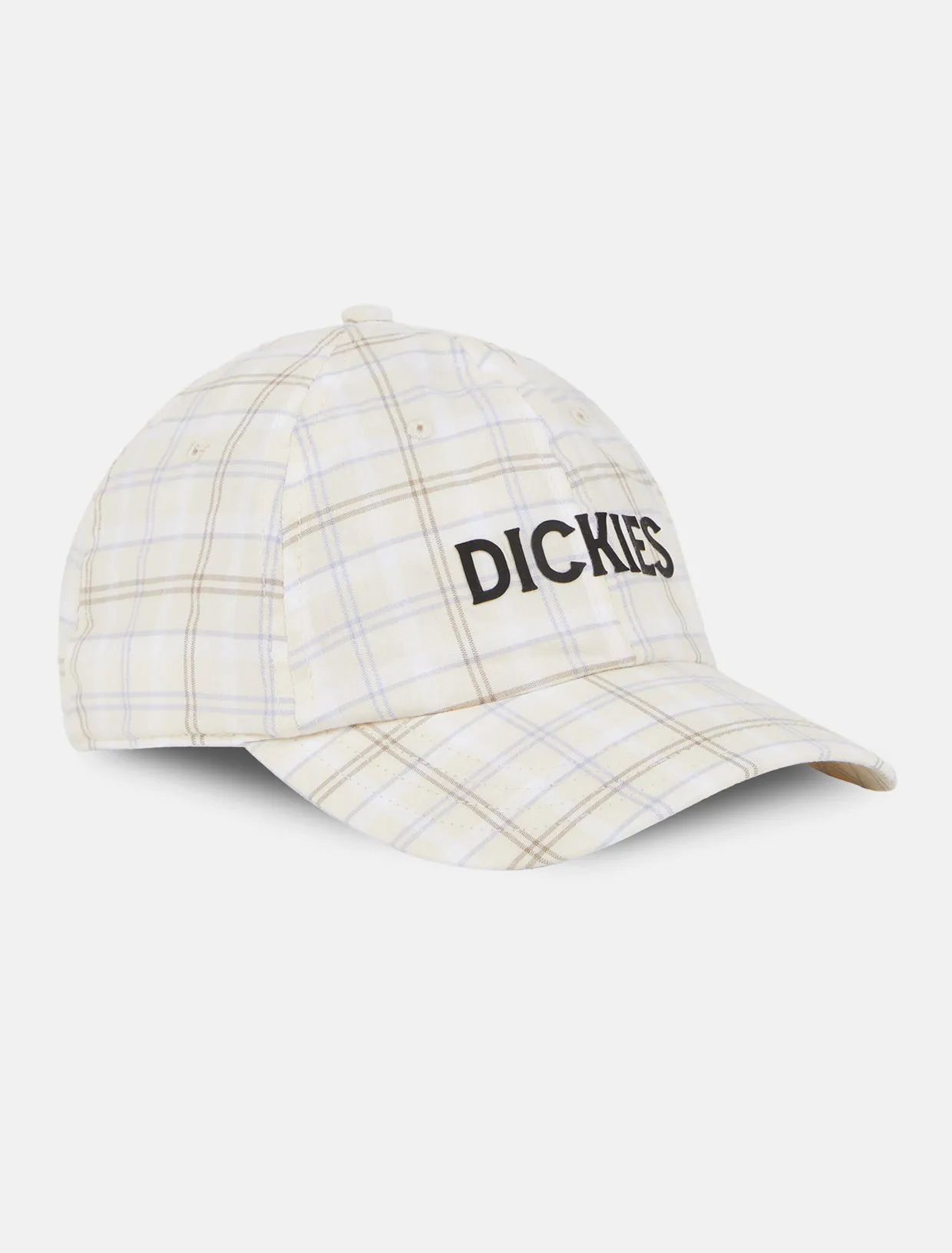 Dickies Surry Baseball Cap