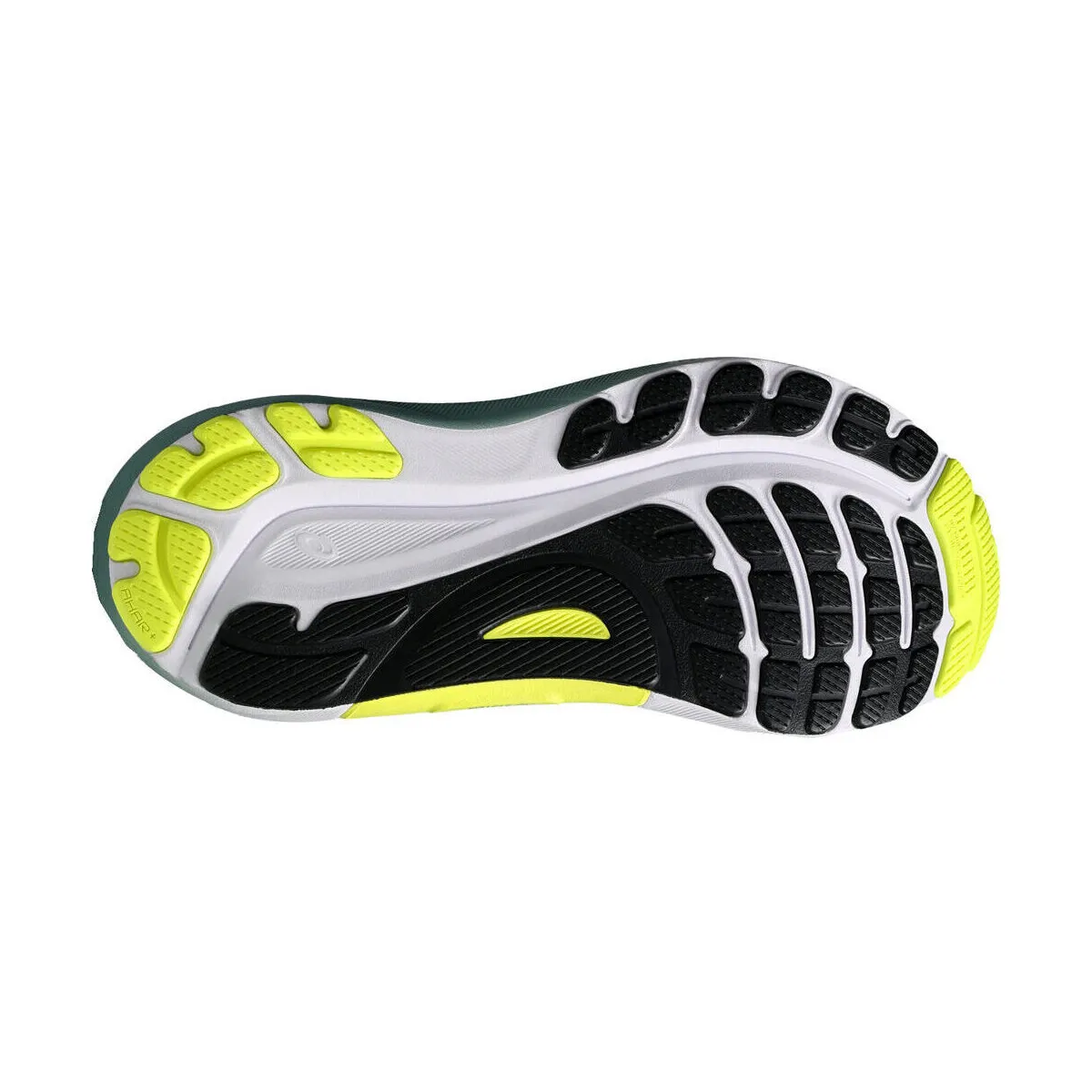 GELKAYANO 31