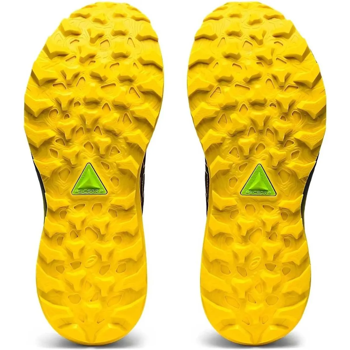 GELTRABUCO 11