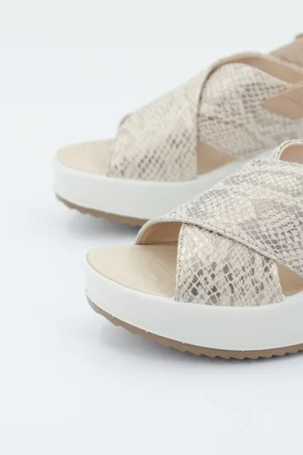 IGI&CO DONNA CANDY