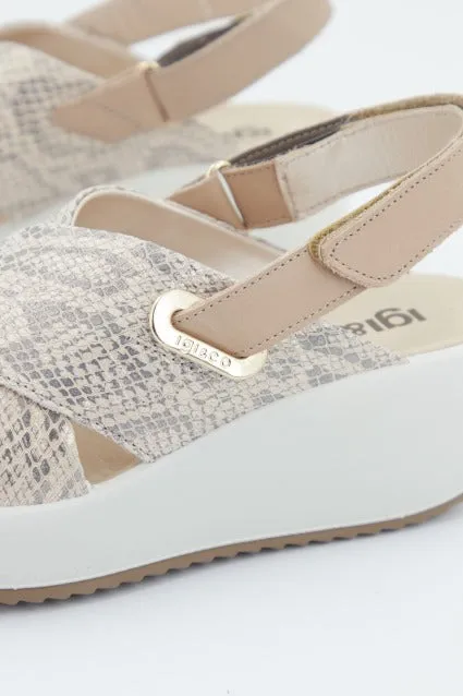 IGI&CO DONNA CANDY