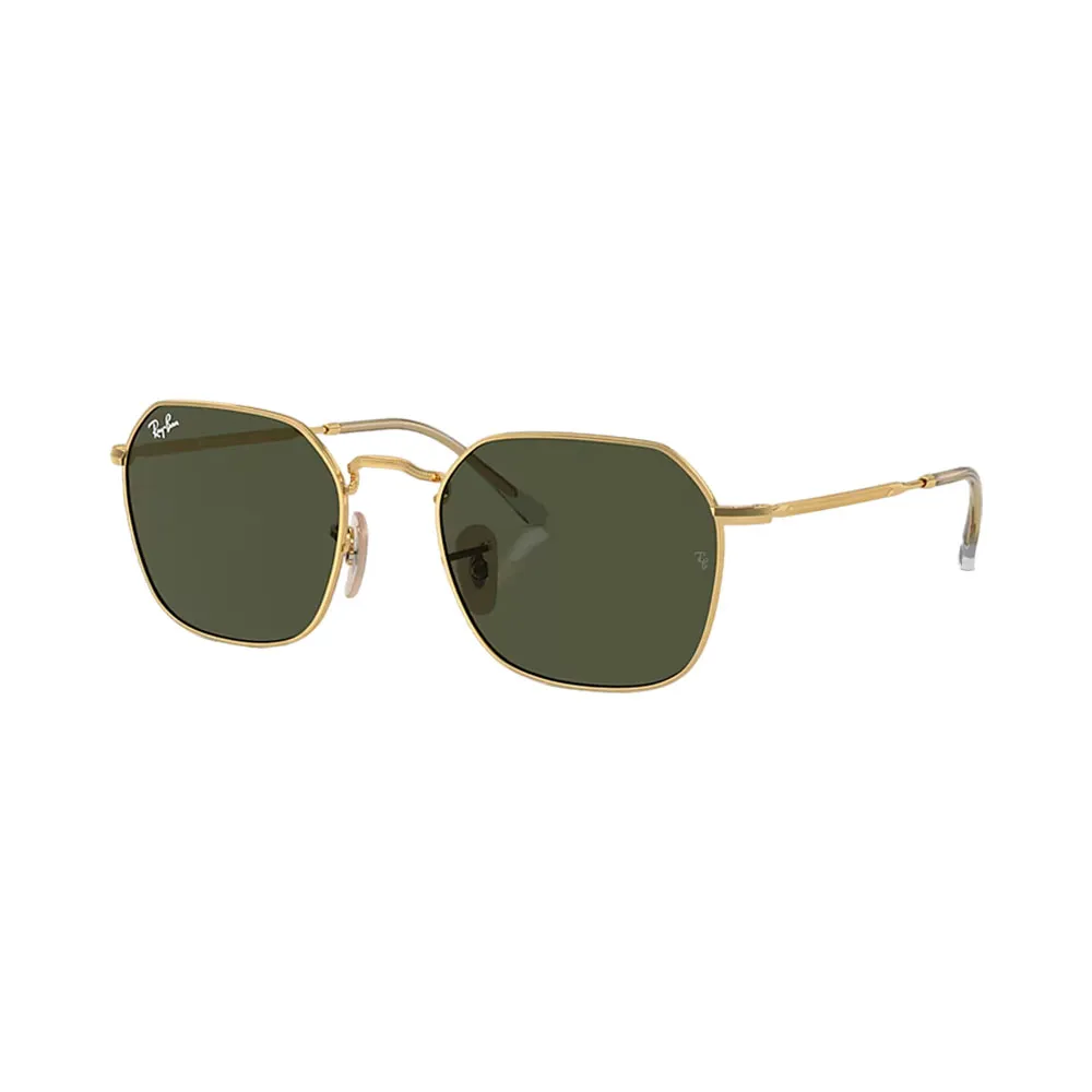 LENTE RAY BAN 3694 001/31 53