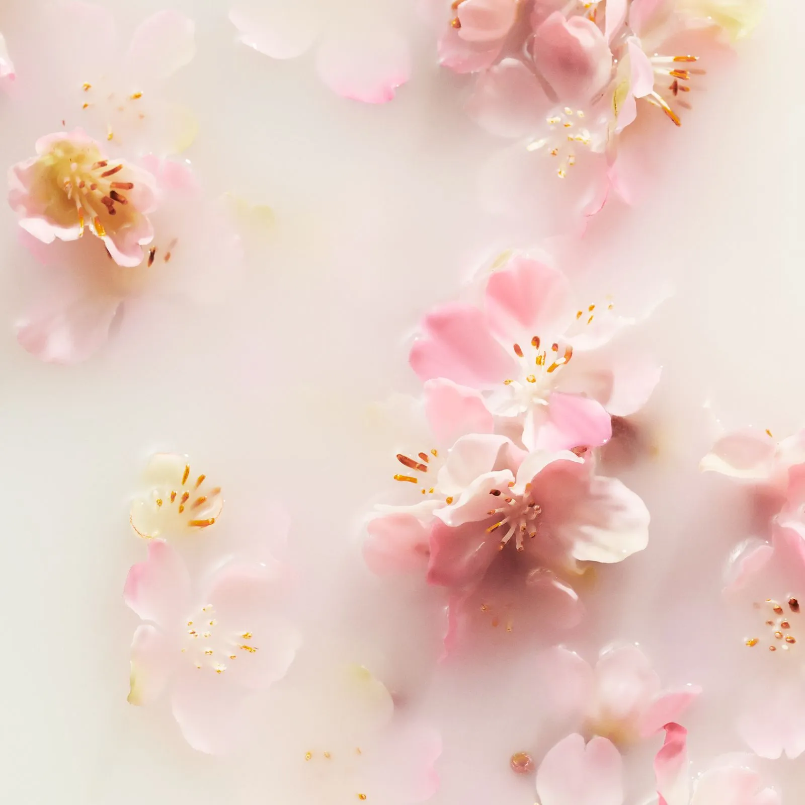 RITUALS THE RITUAL OF SAKURA  BRUMA PARA CUERPO Y CABELLO
